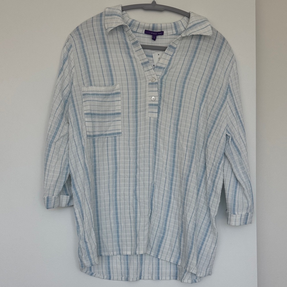 Blue and White Striped Shirt